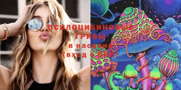 таблы Алексеевка