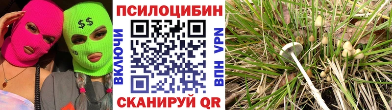 Псилоцибиновые грибы мухоморы  Серафимович 